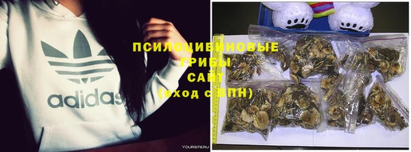 COCAINE Верея