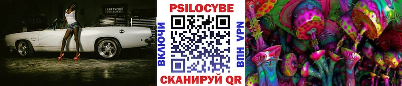 Галлюциногенные грибы Cubensis KRAKEN ссылка Благовещенск
